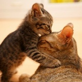 Александра Писароглова-Бальжик, 05.06.1988, Одесса