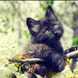 Ngoan Le-Thi, 18.02, Москва