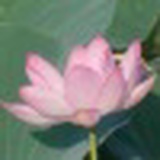 Ирина Моисеенко