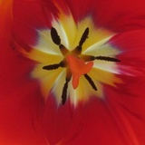 Анна Олейник, 14.03.1983, Киев