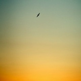 Arailym Bekbergenova, 01.11, Алматы