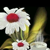 Нургуль Аманжолова, 13.01.1997