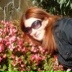 Лена Горчакова, 31.03, Днепр (Днепропетровск)