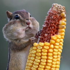 Марат Газизуллин, 14.10.1983, Казань