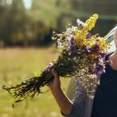 Анна Варлова