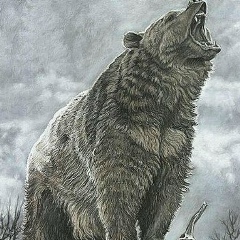Даурен Султанов, 27.05.1988, Шымкент
