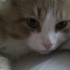 Андрей Чистик, 02.06, Москва