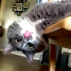 Ірина Завалова, 20.01.1991, Днепр (Днепропетровск)