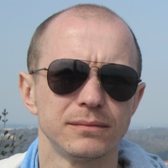 Дмитрий Воеводин, Киев