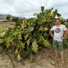 Иван Наумов, 08.07.1980, Москва