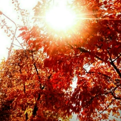 Гулиза Асылбекова, 05.10.1997, Ош