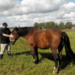 Юрий Кузьмич, 27.11.1985, Минск