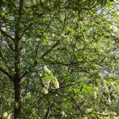 Toma Bochkova, 10.05, Киров
