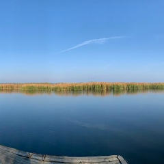Евгений Григолая, 21.11, Днепр (Днепропетровск)
