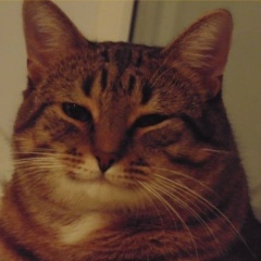 Никита Гладков, 25.12.2003