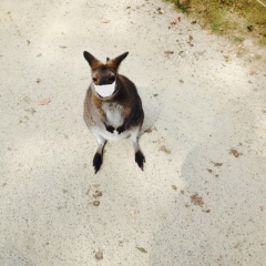 Полина Солдатова, 03.04, Москва