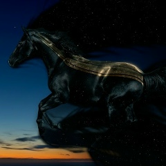 Dana Raimbek, 07.03.1990, Алматы