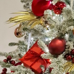 Ксения Нечаева, Магнитогорск