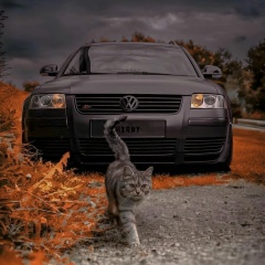 Андрей Чибаев, 13.09.1986