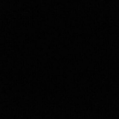 Славик Кузон, Донецк