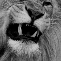 Егор Степанов, 24.07.1986, Москва