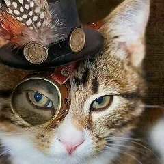 Gleb Manager, 29.06.1992, Вологда