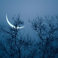 Мурат Турганбаев, 08.07.1999, Атырау