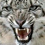 Борис Борисс, Москва