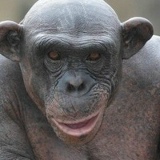 Денис Шаховский, 09.02.1948, Ыджыдъяг