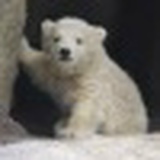 Asick Dautaliev, 15.05