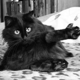 Алексей Куршаков, 15.02.1985, Санкт-Петербург