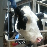 Ivan Bondarchuk, 20.12.1984, Николаев