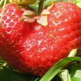 Ирина Журунова, 13.08, Ставрополь