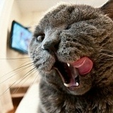 Настюффка Отраднова, 20.07.1990, Москва