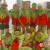 Futbollist Stepnogotsk, 23.03.1998, Степногорск