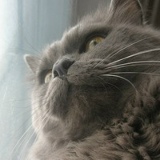 Михаил Ильясов, 08.08, Канск