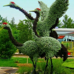 Нани Бухгалтер, 31.05, Санкт-Петербург