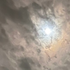 Riial Ill, 10.07.1992