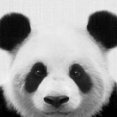 Елена Голубкина, 20.07, Алматы