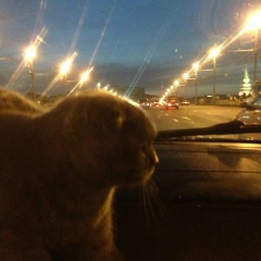 Марат Джамавов, 17.10