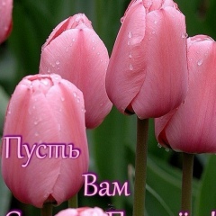 Наталья Антонова, 04.04.1983, Темиртау