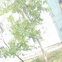 Роман Стенковой, 26.08