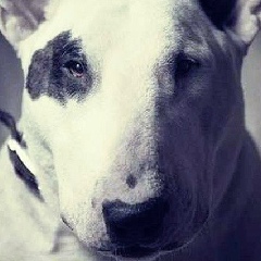 Амид Нодиршоев, 28.06