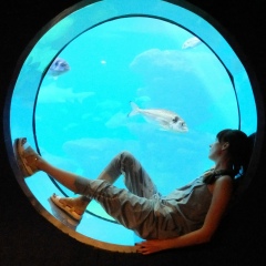 Нат Алья, 20.01, Запорожье