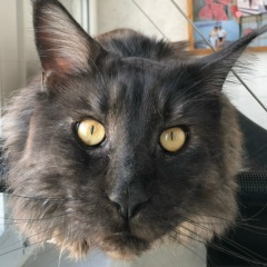 Михаил Матвеев, 10.04.1989, Краснодар