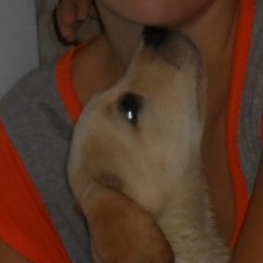 Ольга Федячкина, 21.01, Санкт-Петербург