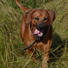 Юлия Власова, 29.03, Санкт-Петербург