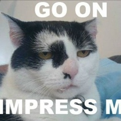 Лизавета Лисицына, 26.11.1990, Нижний Новгород