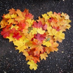 Надежда Цыпышева, 10.06, Санкт-Петербург