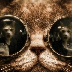 Денис Чупряев, Киров